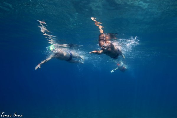 צילום: תומר אבני | שחייה במים פתוחים